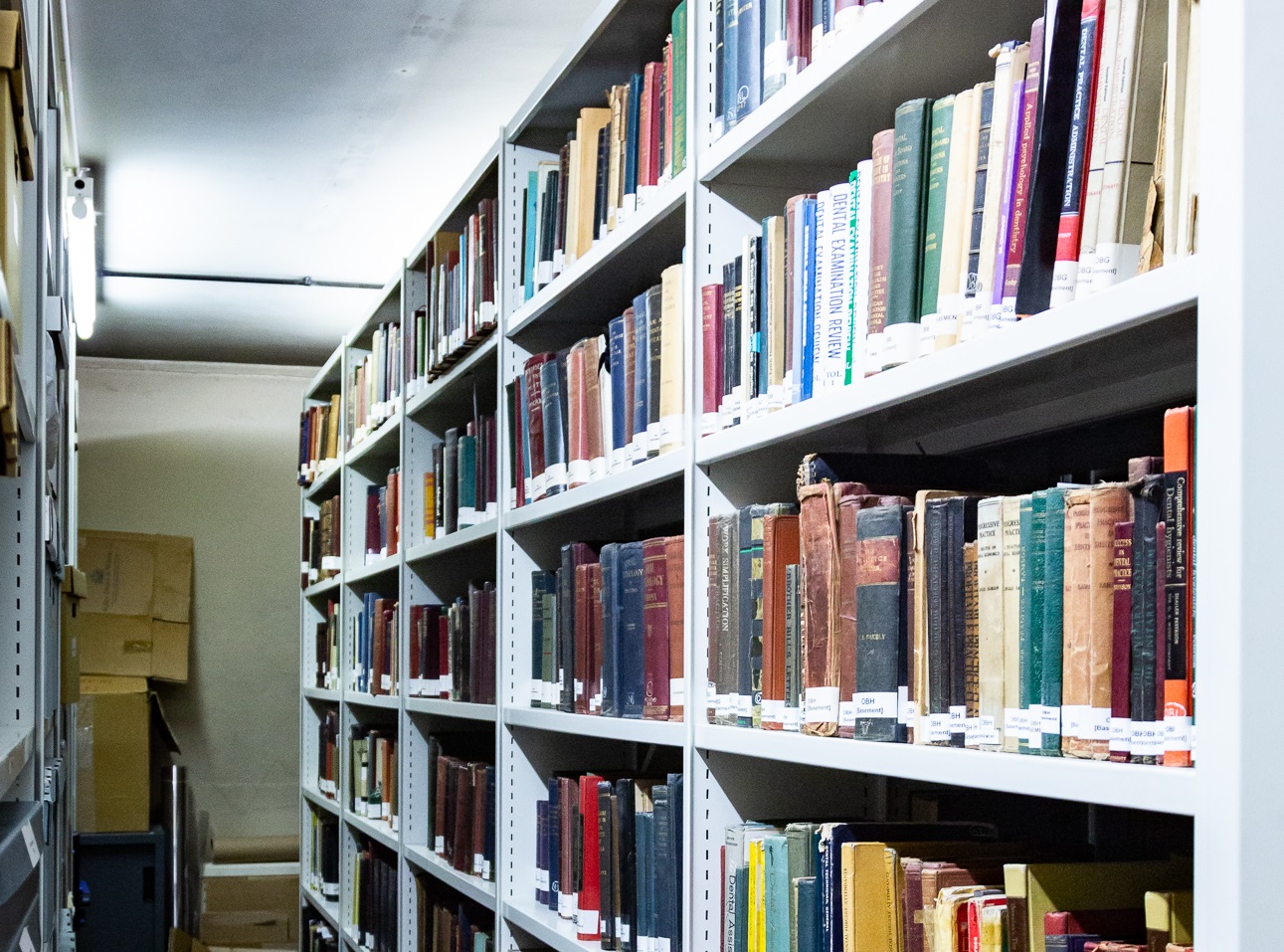 Bda Library Shelf